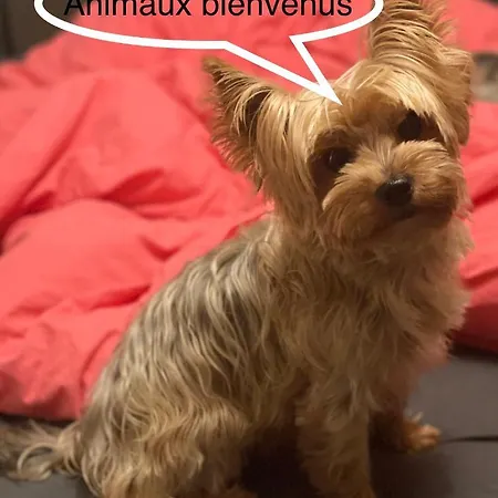 Appt 3* Le Des Lacs דירה