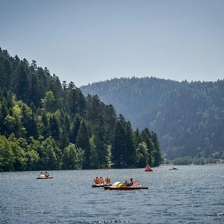 Appt 3* Le Des Lacs Apartment Xonrupt-Longemer