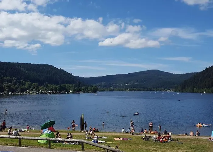 Appt 3* Le Des Lacs * Xonrupt-Longemer