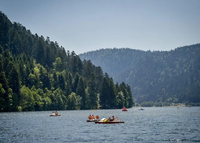 Appt 3* Le Des Lacs Appartement Xonrupt-Longemer