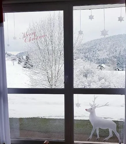 Appt 3* Le Des Lacs * Xonrupt-Longemer