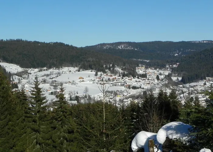 Apartmán Appt 3* Le Des Lacs *