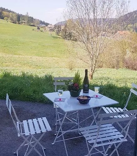 Appt 3* Le Des Lacs * Xonrupt-Longemer